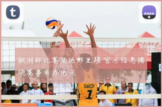 欧洲杯比赛场地哪里踢 官方信息揭晓赛事举办地点