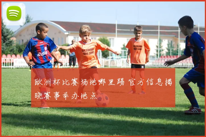 欧洲杯比赛场地哪里踢 官方信息揭晓赛事举办地点