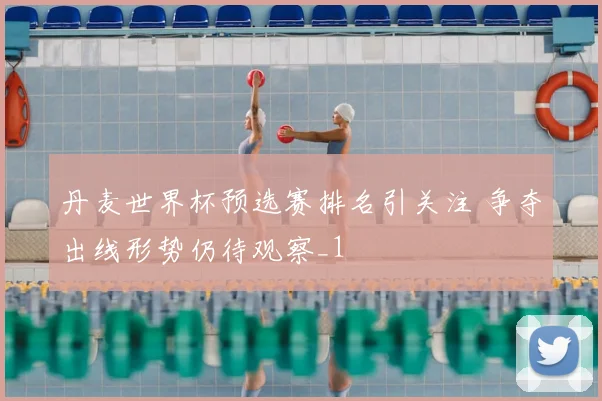 丹麦世界杯预选赛排名引关注 争夺出线形势仍待观察_1