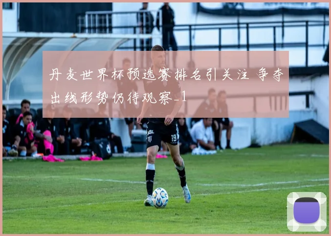 丹麦世界杯预选赛排名引关注 争夺出线形势仍待观察_1