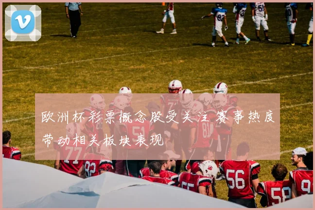 欧洲杯彩票概念股受关注 赛事热度带动相关板块表现