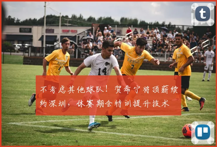 不考虑其他球队!贺希宁将顶薪续约深圳,休赛期会特训提升技术